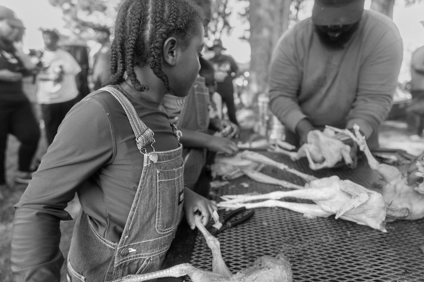 Creole Culture Day 2025